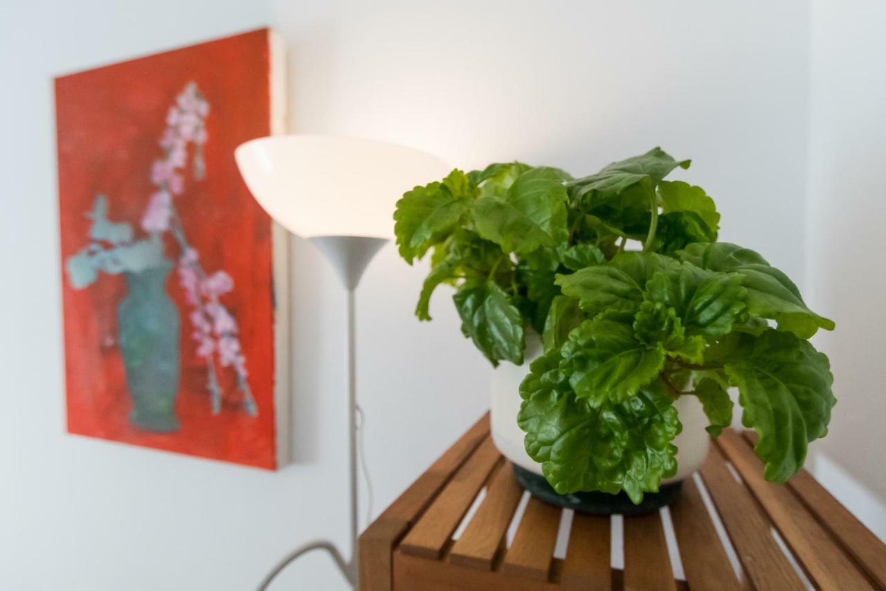 Apartamento La Galeria De San Antonio Cádiz Eksteriør billede